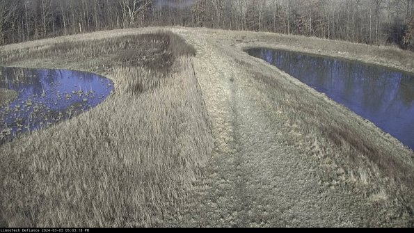 Cell 4 to Basin_24-03-03_17-03-19-30