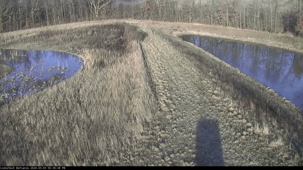 Cell 4 to Basin_24-03-03_17-36-49-32