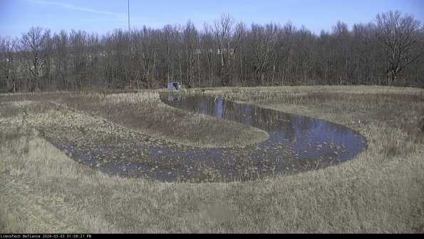 Cell 4_24-03-03_13-08-22-30