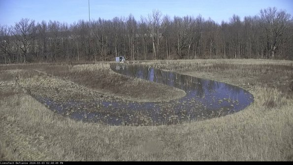 Cell 4_24-03-03_14-48-50-32