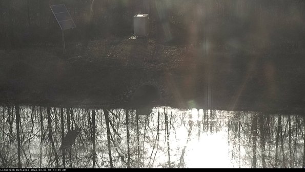 Basin Inflow_24-03-04_08-41-40-32