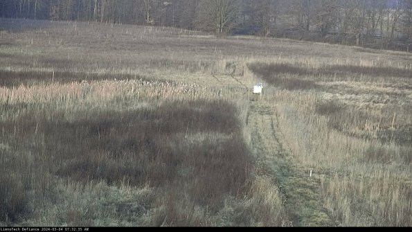 Cell 1 to 2_24-03-04_07-32-36-29