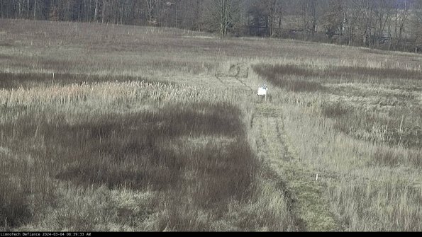 Cell 1 to 2_24-03-04_08-39-34-29