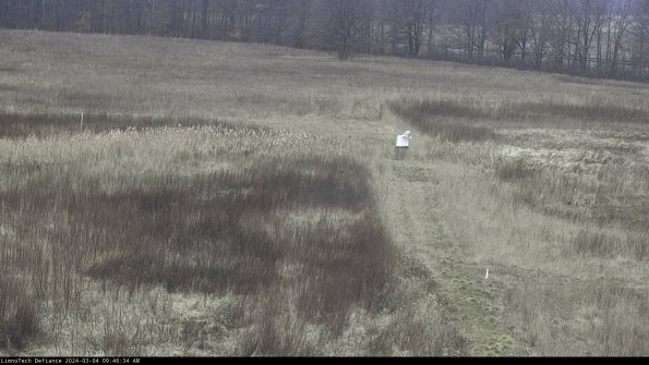 Cell 1 to 2_24-03-04_09-46-35-33