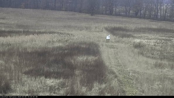 Cell 1 to 2_24-03-04_10-20-06-28