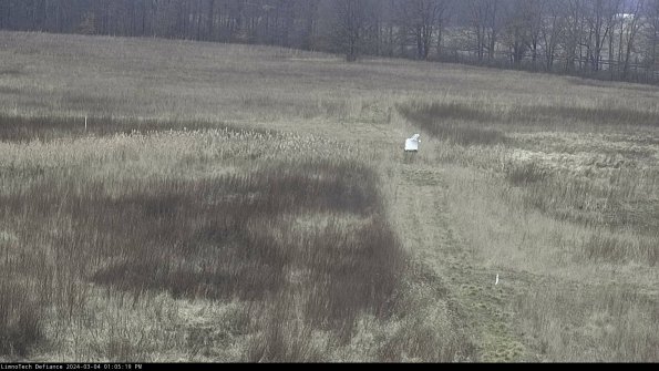 Cell 1 to 2_24-03-04_13-05-20-14