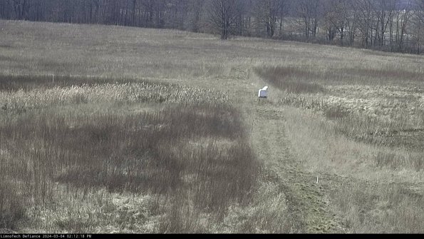 Cell 1 to 2_24-03-04_14-12-19-12