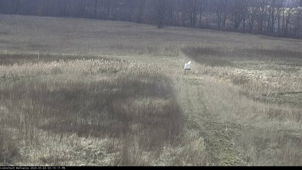 Cell 1 to 2_24-03-04_15-19-18-14