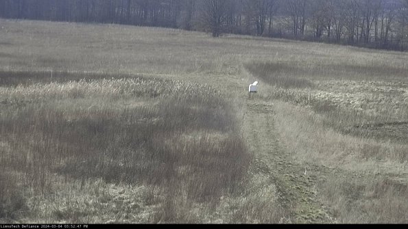 Cell 1 to 2_24-03-04_15-52-48-13