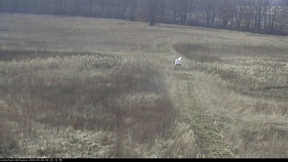 Cell 1 to 2_24-03-04_16-26-17-14