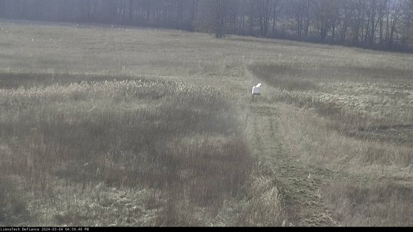 Cell 1 to 2_24-03-04_16-59-47-15