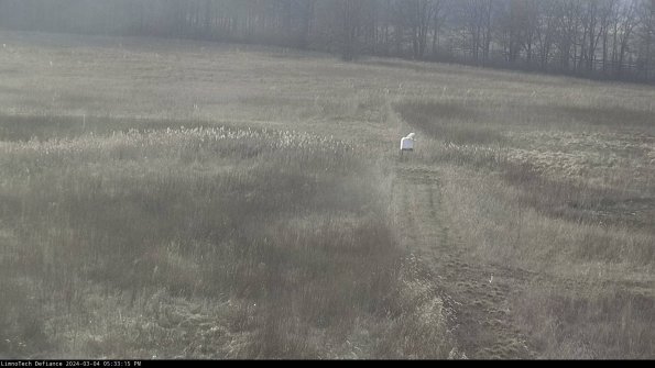 Cell 1 to 2_24-03-04_17-33-16-11