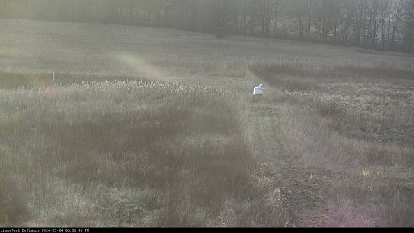 Cell 1 to 2_24-03-04_18-06-46-14