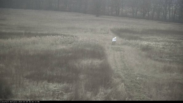 Cell 1 to 2_24-03-04_18-40-14-13