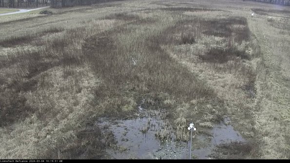 Cell 1_24-03-04_10-19-52-30