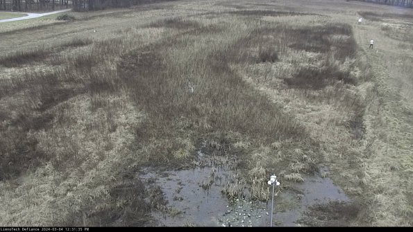 Cell 1_24-03-04_12-31-36-17