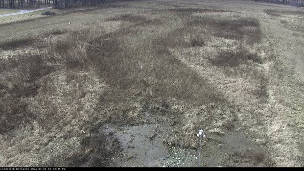 Cell 1_24-03-04_13-38-36-15