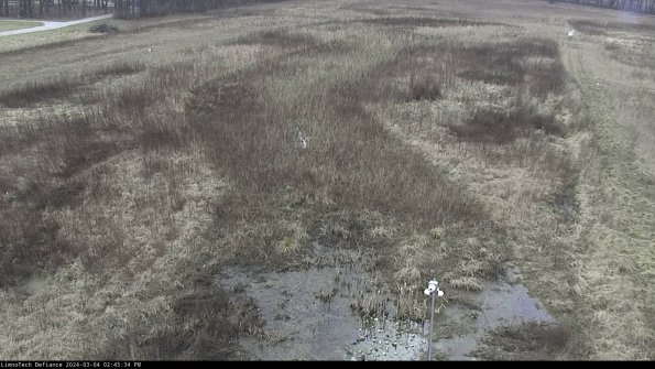 Cell 1_24-03-04_14-45-35-10