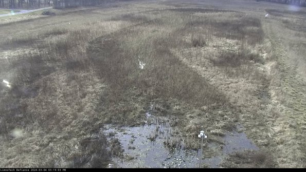 Cell 1_24-03-04_15-19-04-13