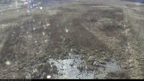 Cell 1_24-03-04_16-26-03-12