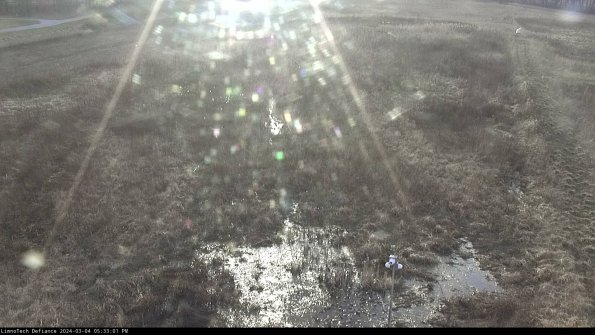 Cell 1_24-03-04_17-33-02-13