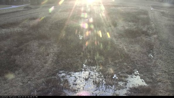 Cell 1_24-03-04_18-06-32-12