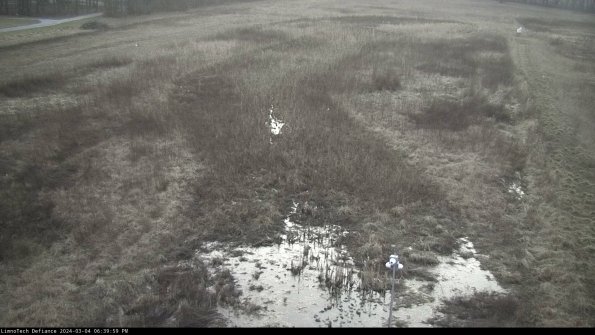 Cell 1_24-03-04_18-40-00-15