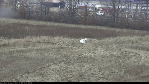 Cell 2 to 3_24-03-04_09-47-01-49