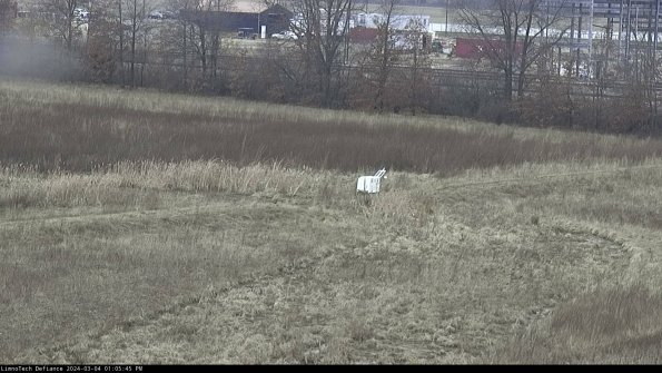 Cell 2 to 3_24-03-04_13-05-46-26