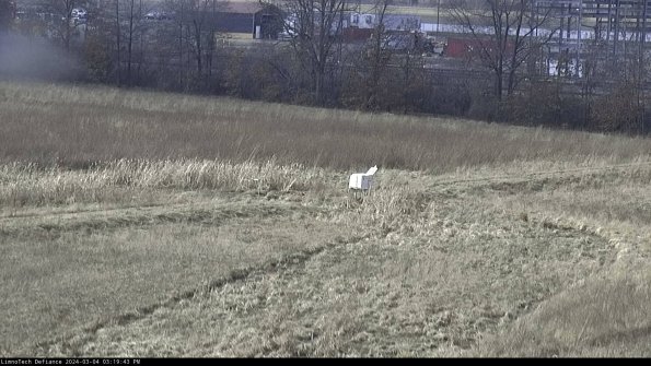 Cell 2 to 3_24-03-04_15-19-44-33