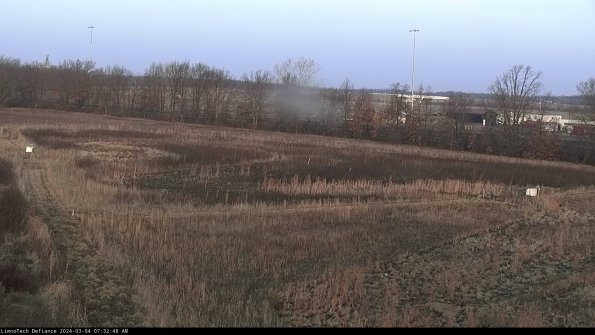 Cell 2_24-03-04_07-32-49-33