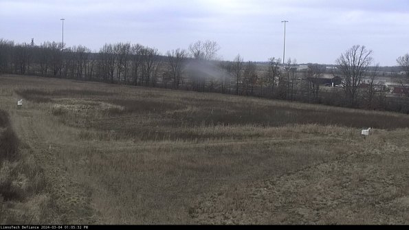 Cell 2_24-03-04_13-05-33-15