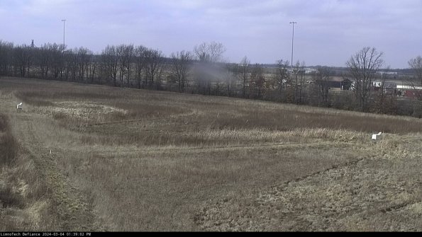 Cell 2_24-03-04_13-39-03-17