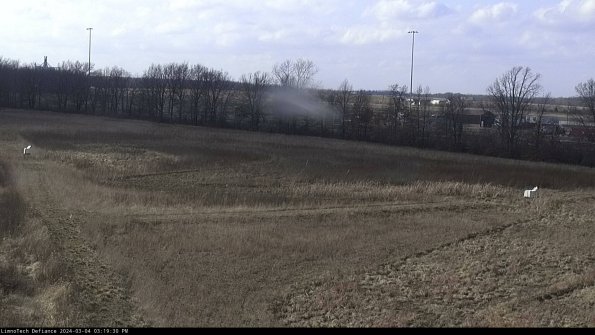 Cell 2_24-03-04_15-19-31-15