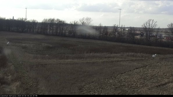 Cell 2_24-03-04_16-26-30-19