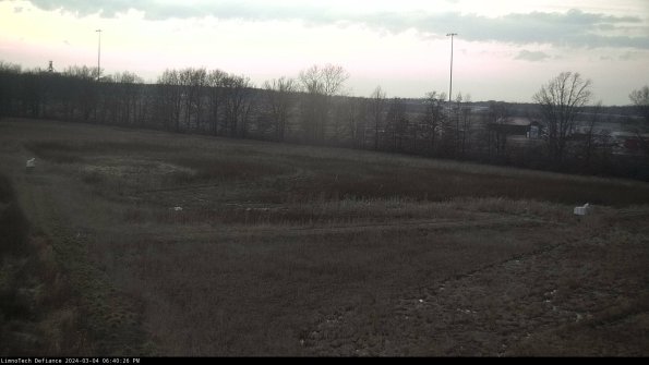 Cell 2_24-03-04_18-40-27-14