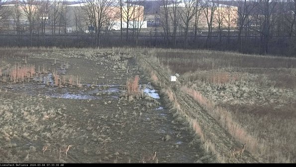 Cell 3 to 4_24-03-04_07-33-31-31