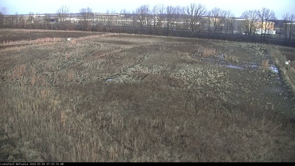 Cell 3_24-03-04_07-33-17-30