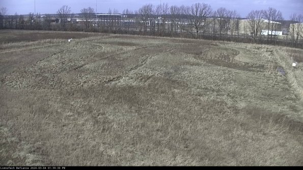 Cell 3_24-03-04_13-39-31-13