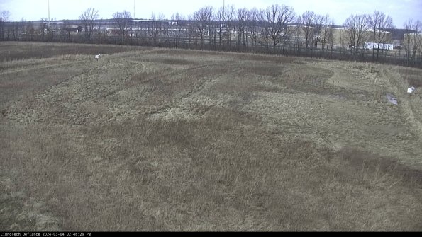 Cell 3_24-03-04_14-46-30-12