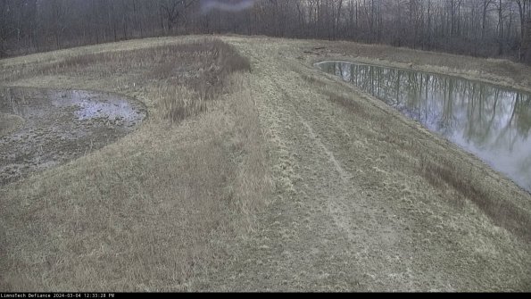 Cell 4 to Basin_24-03-04_12-33-29-15