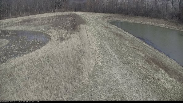 Cell 4 to Basin_24-03-04_13-40-29-13