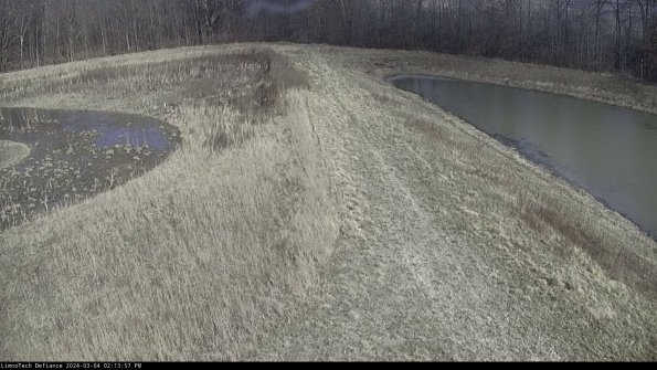 Cell 4 to Basin_24-03-04_14-13-58-12