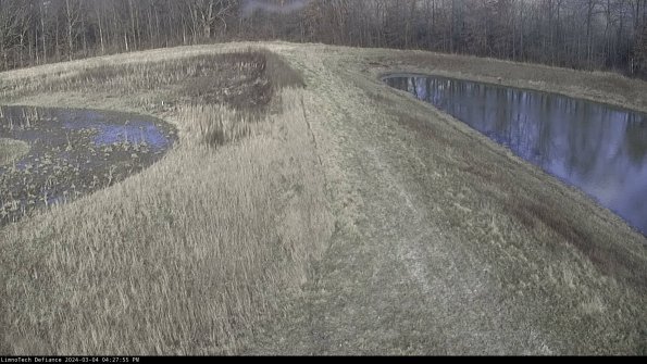 Cell 4 to Basin_24-03-04_16-27-56-14