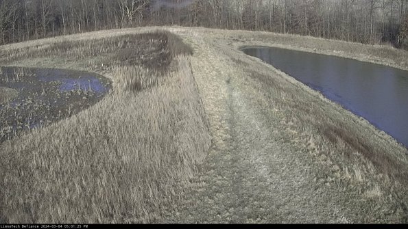 Cell 4 to Basin_24-03-04_17-01-26-12