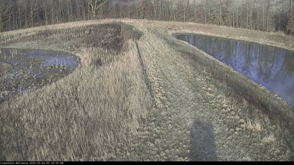 Cell 4 to Basin_24-03-04_17-34-55-14