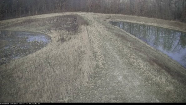 Cell 4 to Basin_24-03-04_18-41-53-16