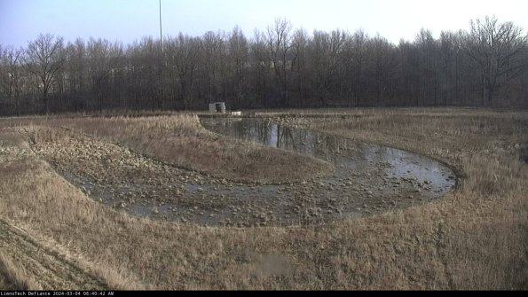 Cell 4_24-03-04_08-40-43-29