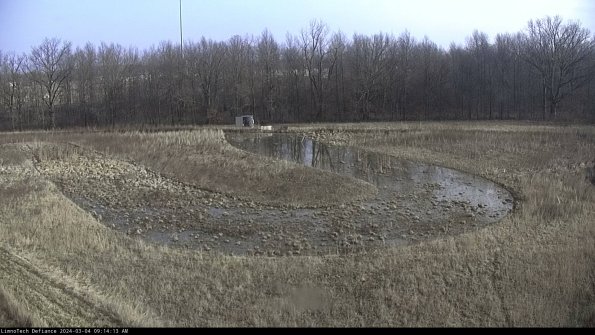 Cell 4_24-03-04_09-14-14-35