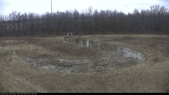 Cell 4_24-03-04_09-47-44-30